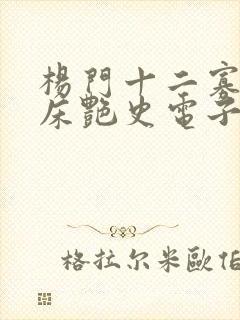 杨门十二寡妇肉床艳史电子书