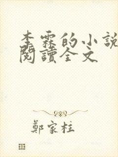 李霖的小说免费阅读全文