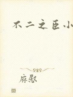 不二之臣小说