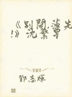 《别闹,薄先生!》沈繁星