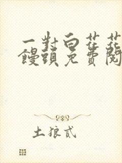 一对白花花的大馒头免费阅读