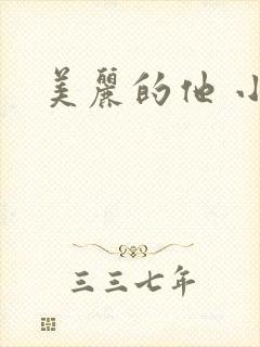 美丽的他 小说