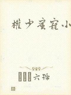 权少蜜宠小娇妻