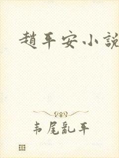 赵平安小说主角