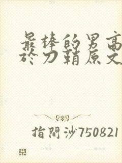 最棒的男高中生于刀鞘原文阅读