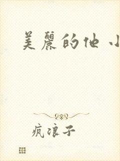 美丽的他 小说