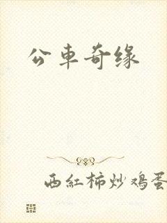 公车奇缘