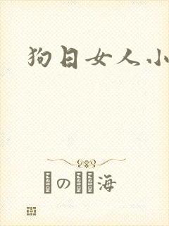 狗日女人小说