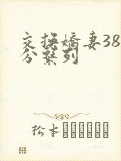 交换娇妻38部分系列