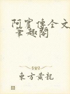 阿宾传全文阅读 笔趣阁