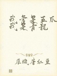 我爹是五爪金龙我是青龙