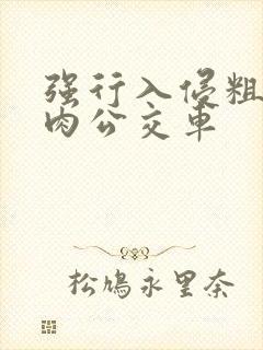 强行入侵粗暴h肉公交车