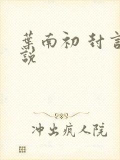 叶南初 封言小说