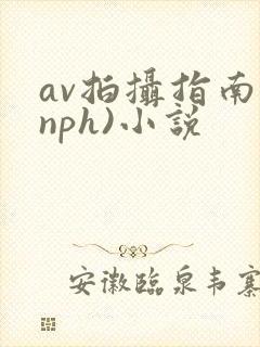 av拍摄指南(nph)小说