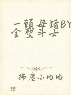 一头母猪BY黄金圣斗士