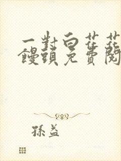 一对白花花的大馒头免费阅读