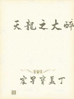 天龙之大醉侠