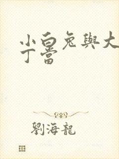 小白兔与大灰狼丁当