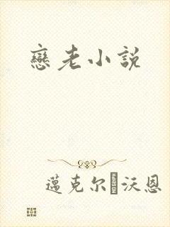 恋老小说