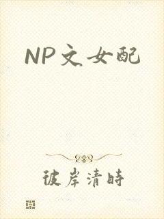 NP文女配