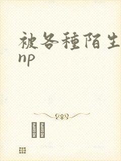 被各种陌生人 np