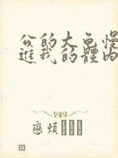 公的大龟慢慢挺进我的体内