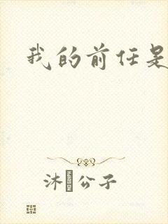 我的前任是极品