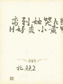 脔到她哭h粗话H好爽小黄鸭视频