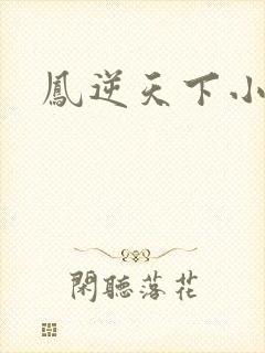 凤逆天下小说