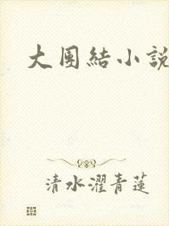 大团结小说下载