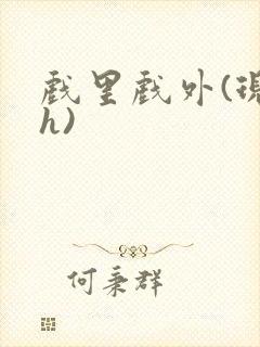 戏里戏外(现场h)