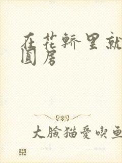 在花轿里就开始圆房