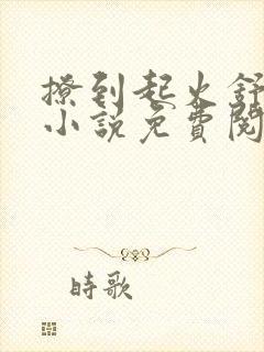 撩到起火舒漾的小说免费阅读全文