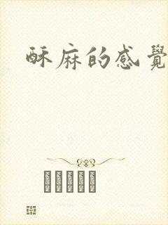 酥麻的感觉小说