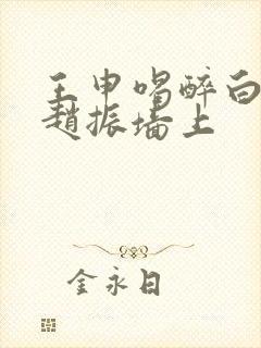 王申喝醉白洁被赵振墙上