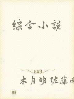 综合小说