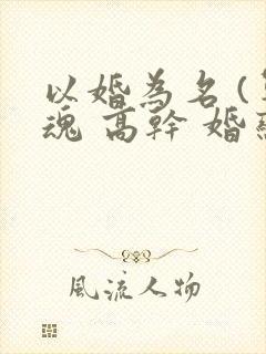 以婚为名 (军魂 高干 婚恋)