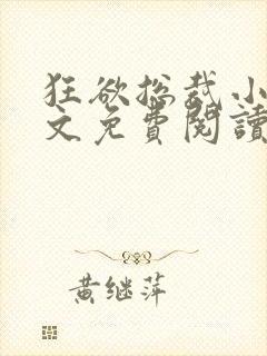 狂欲总裁小说全文免费阅读