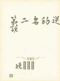 第二名的逆袭小说