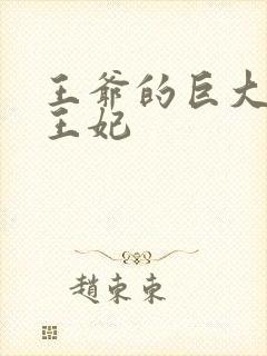 王爷的巨大进入王妃