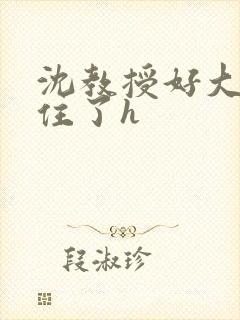 沈教授好大含不住了h