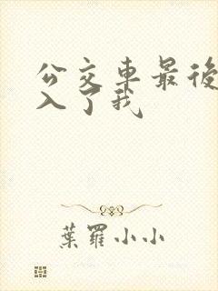 公交车最后一排入了我