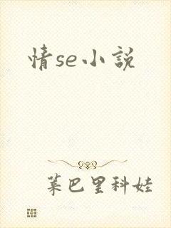 情se小说