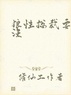 狼性总裁要够了没