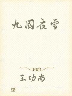 九国夜雪