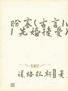 盼寡(古言1v1 先婚后爱)