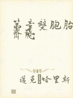 第章双胞胎姐妹齐飞