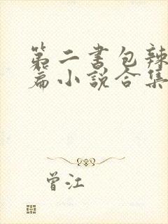 第二书包辣网短篇小说合集