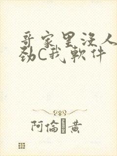 哥家里没人使点劲C我软件