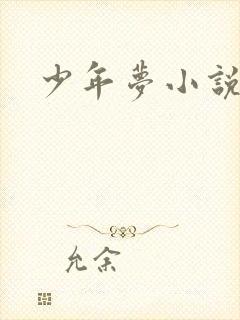 少年梦小说